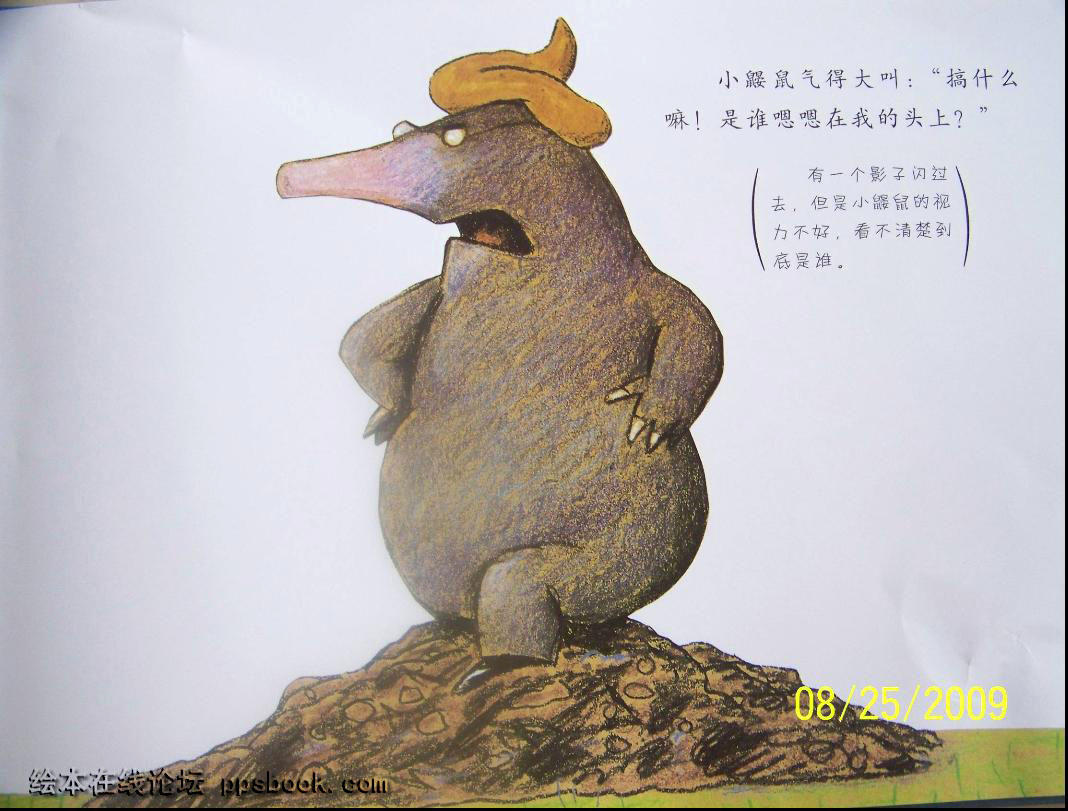 是谁嗯嗯在我头上 (04),绘本,绘本故事,绘本阅读,故事书,童书,图画书,课外阅读